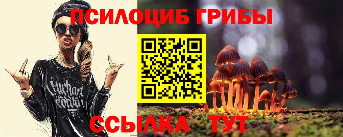 Псилоцибиновые грибы мицелий  Вход с VPN  где купить наркоту  Краснокамск 